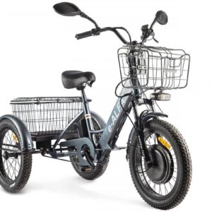 Трицикл GREEN CITY e-ALFA Trike