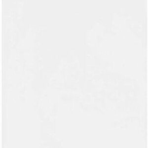 Однокамерный холодильник LEX LSD100W